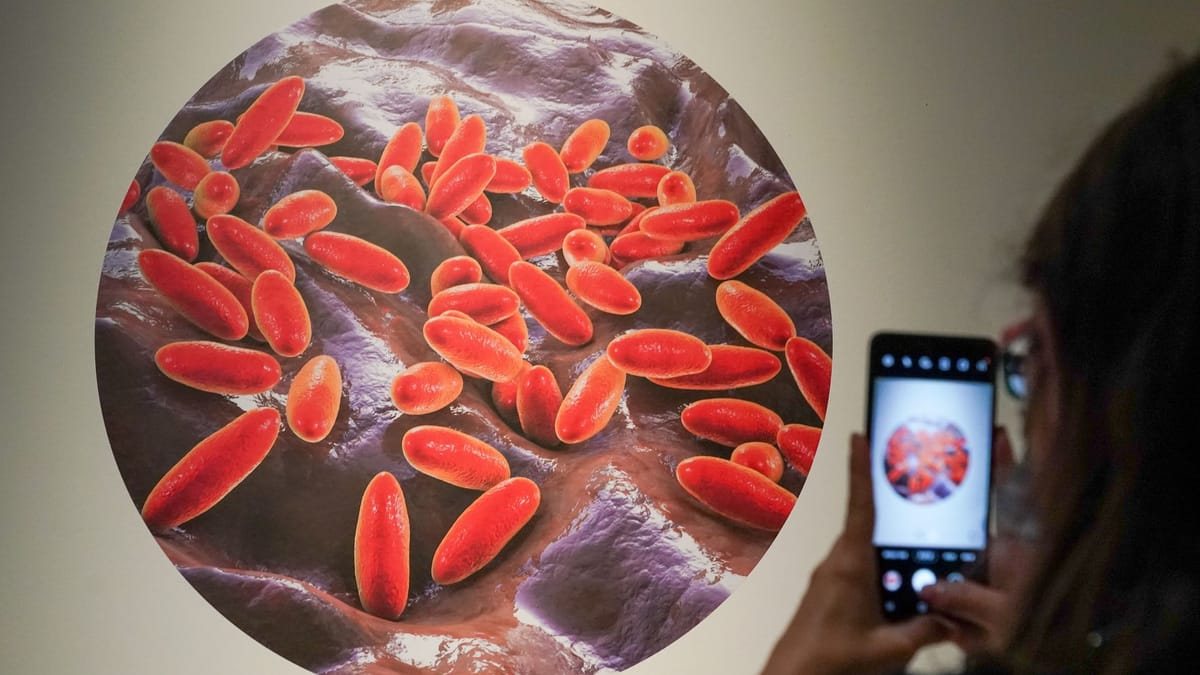 Pest-Verdacht in Sibirien weckt Erinnerungen an vertuschte Laborunfälle