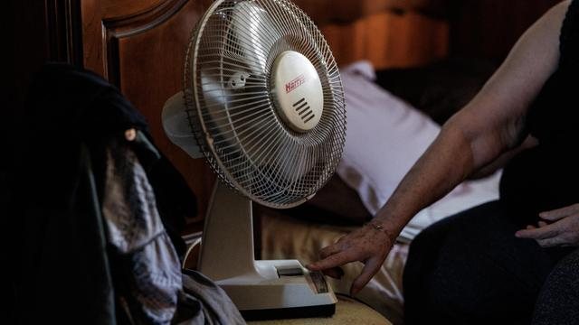 Fast 16.000 Hitzetote in Deutschland in diesem Sommer