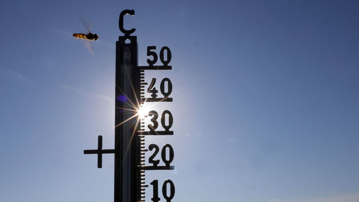 Umfrage: Zwei Drittel der Deutschen sehen Zusammenhang zwischen Hitze und Klimawandel