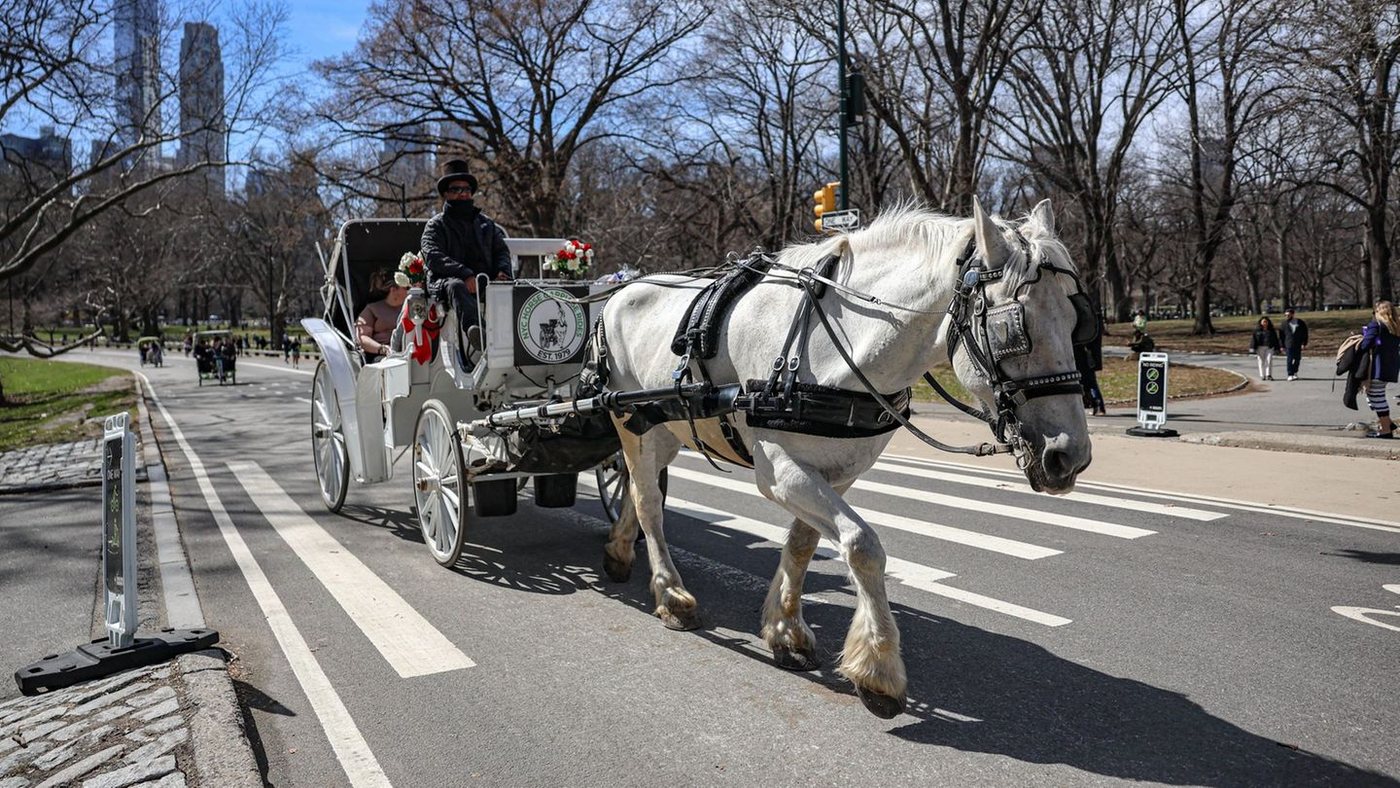 New York schafft Pferdekutschen im Central Park bis 2028 ab
