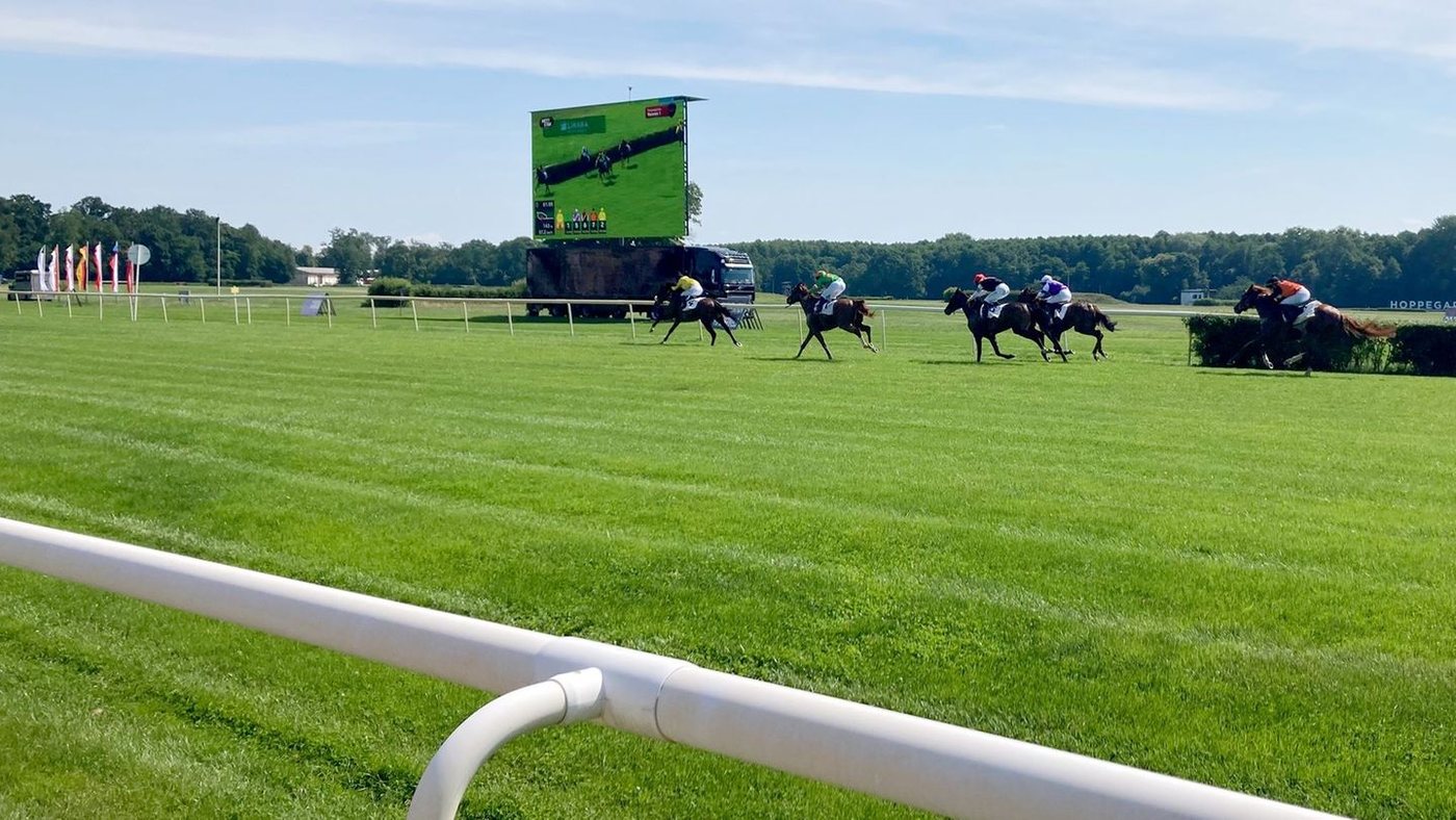 Amigo Charly gewinnt überraschend den Range Rover Cup in Hoppegarten