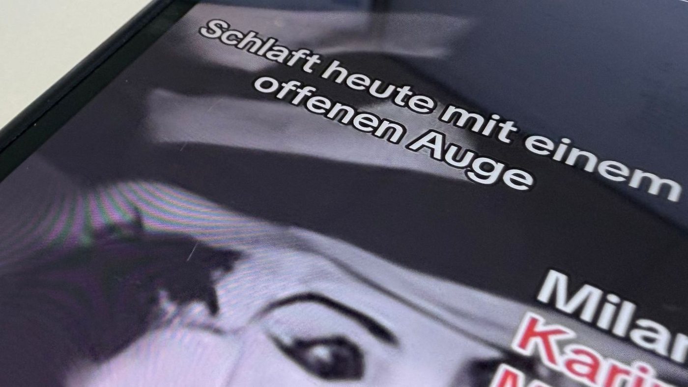 Polizei prüft Internettrend: Horror-Katze versetzt Schüler in Angst