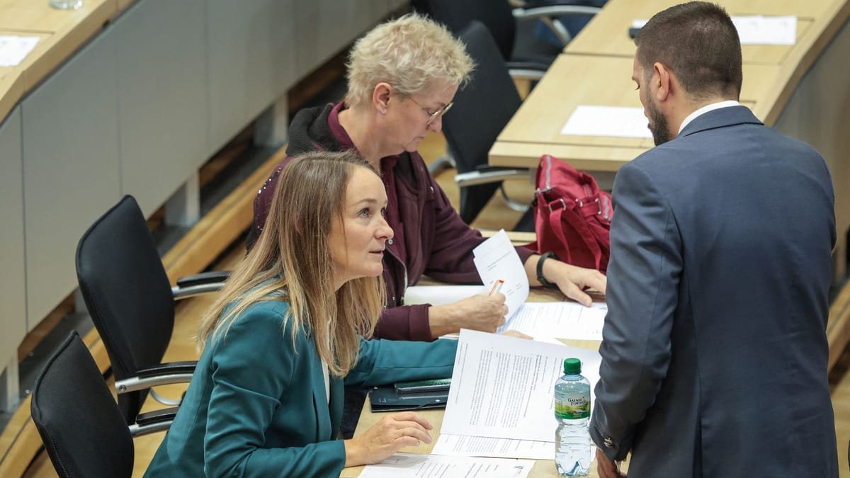 AfD und BSW beschließen ersten gemeinsamen Antrag in Magdeburg